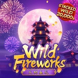 wild-fireworks
